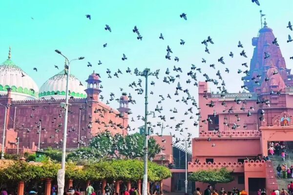 ASI Confirms Krishna Janmabhoomi Demolition by Aurangzeb